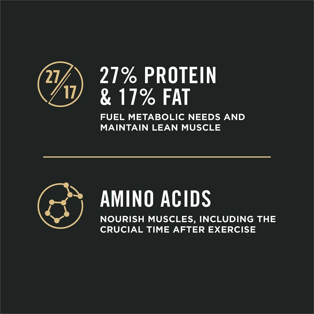 High Protein Small Bites Lamb and Rice Dog Food W595257
