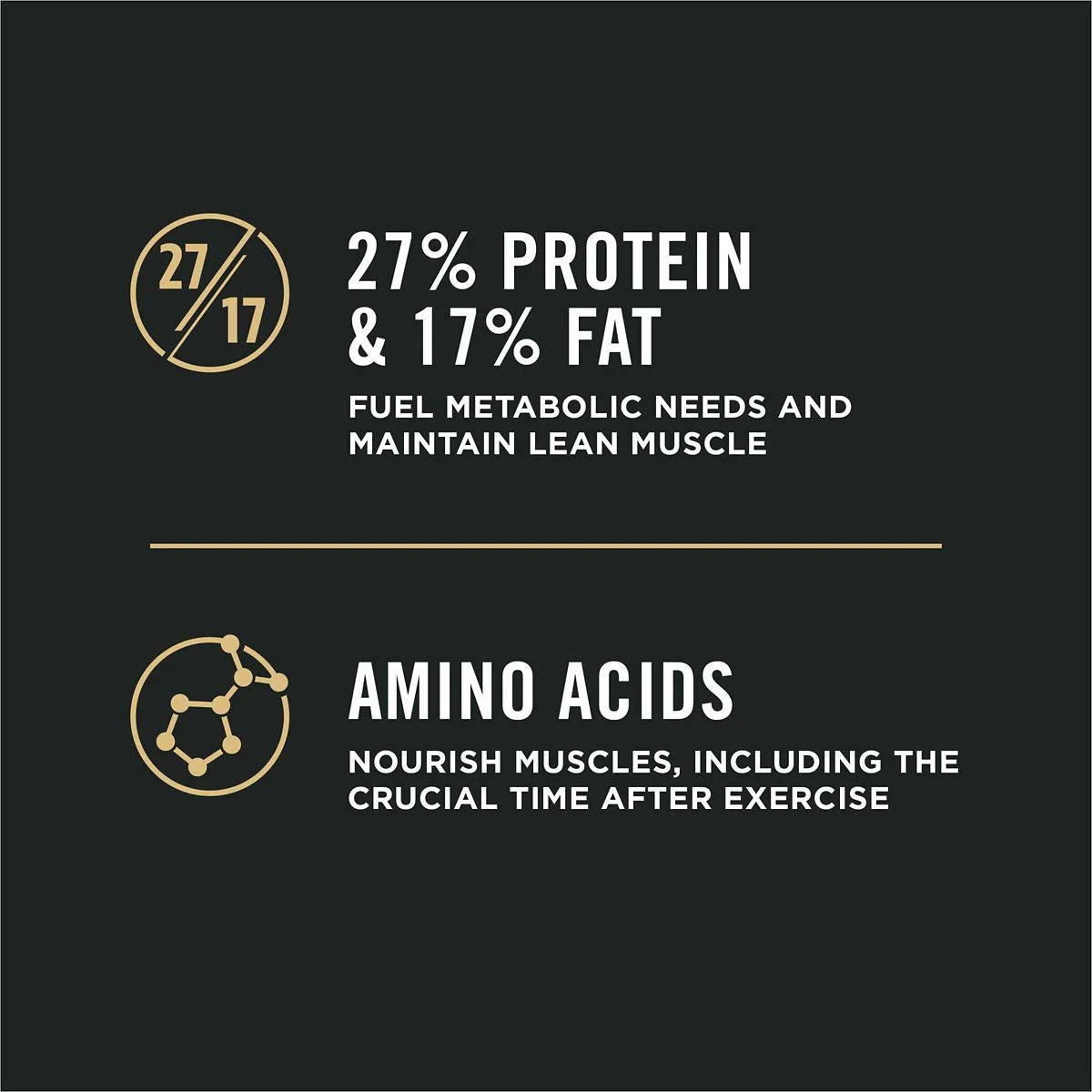 High Protein Small Bites Lamb and Rice Dog Food W595257