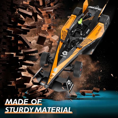 Remote Control Car 1/14 Scale 2.4GHz B109856