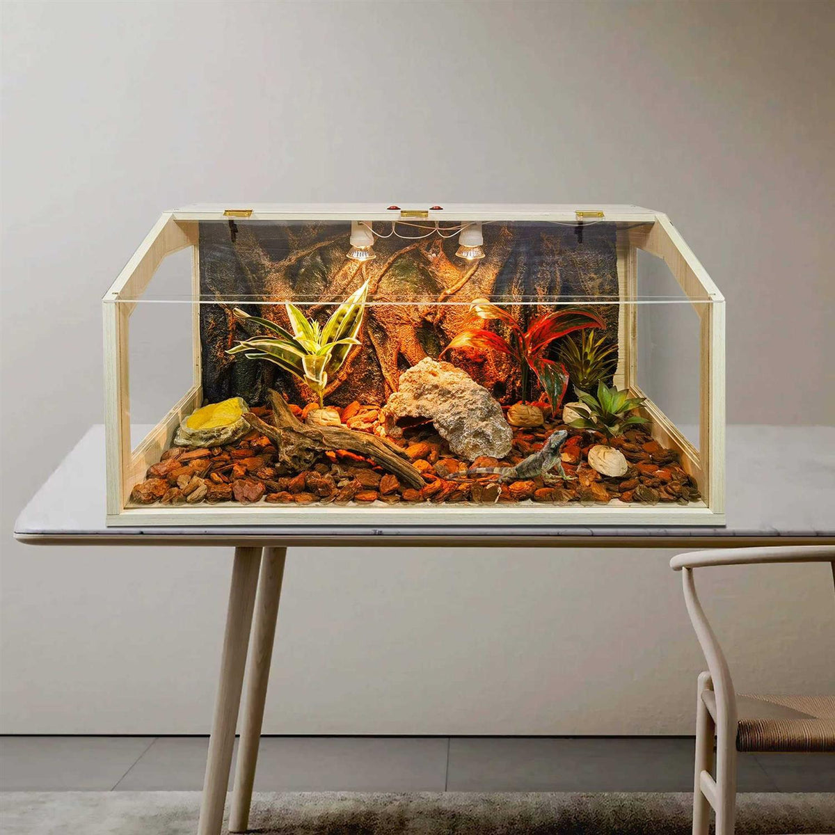 21 Gallon to 68 Gallon Reptile Terrarium Tank with Roof Door I505