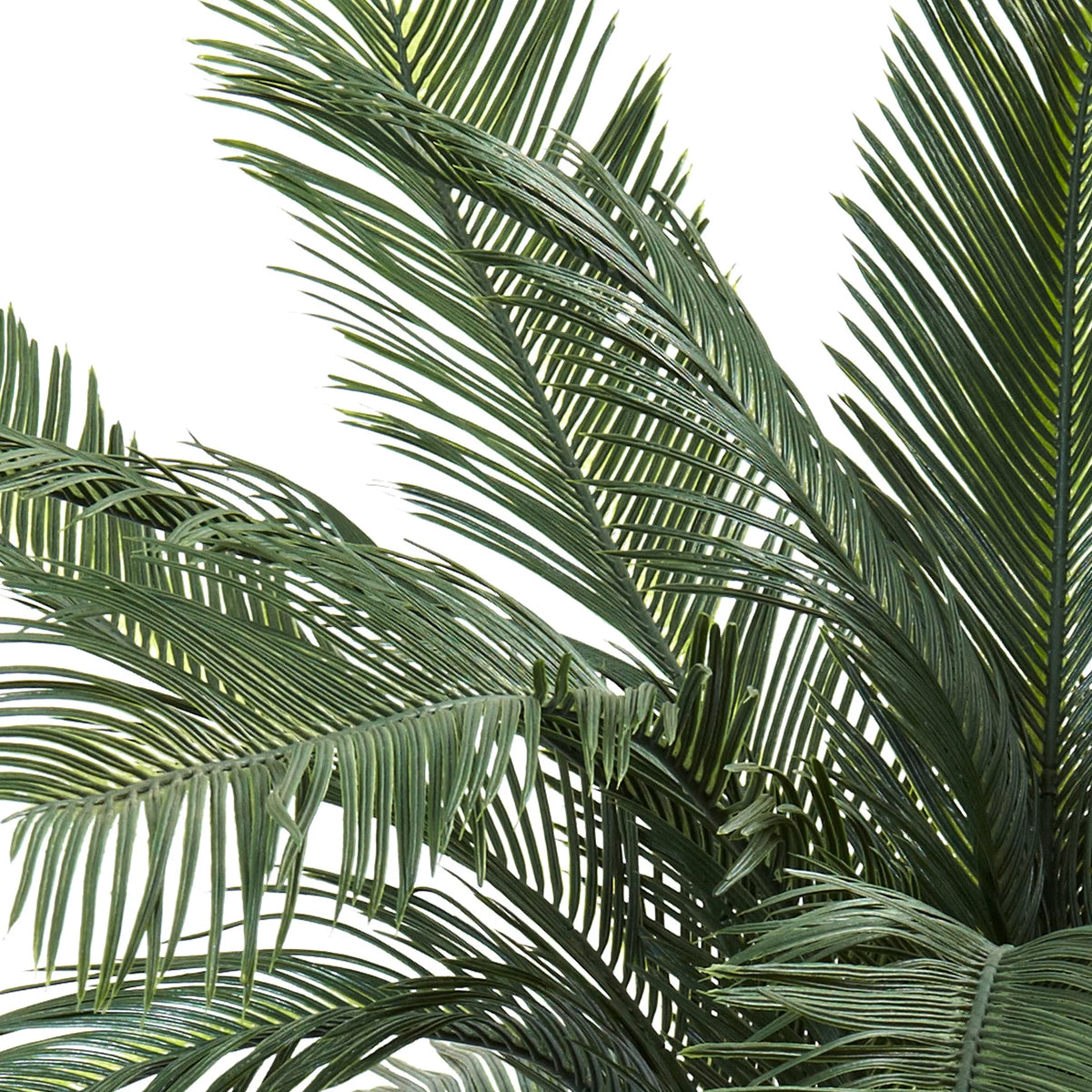 4ft. UV Resistant Cycas Artificial Tree W7146