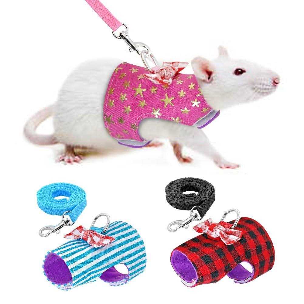 Small Pet Outdoor Walking Harness Vest and Leash Set with Bowknot L53356