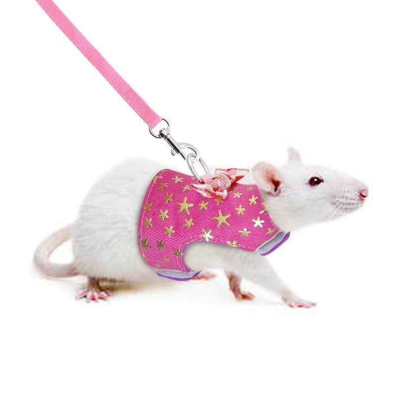 Small Pet Outdoor Walking Harness Vest and Leash Set with Bowknot L53356