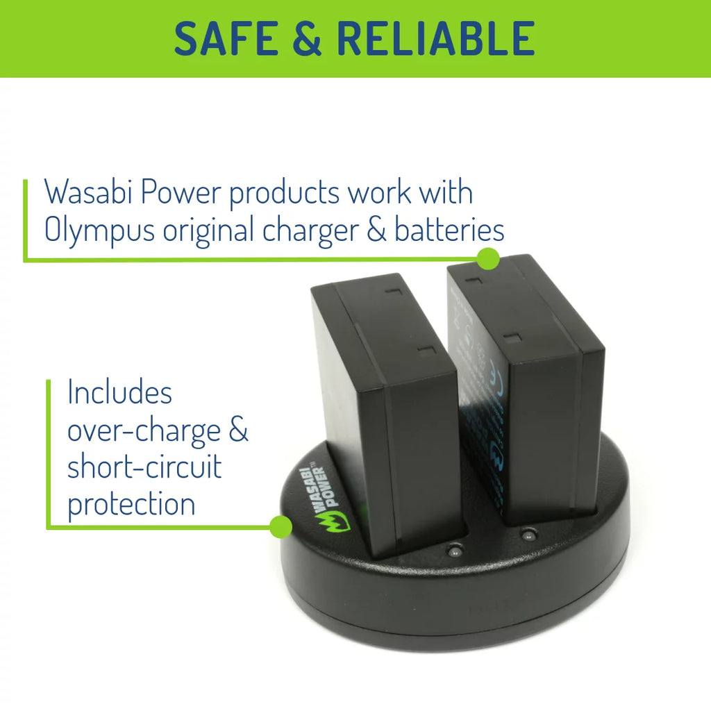 Battery (2-Pack) and Dual Charger G484