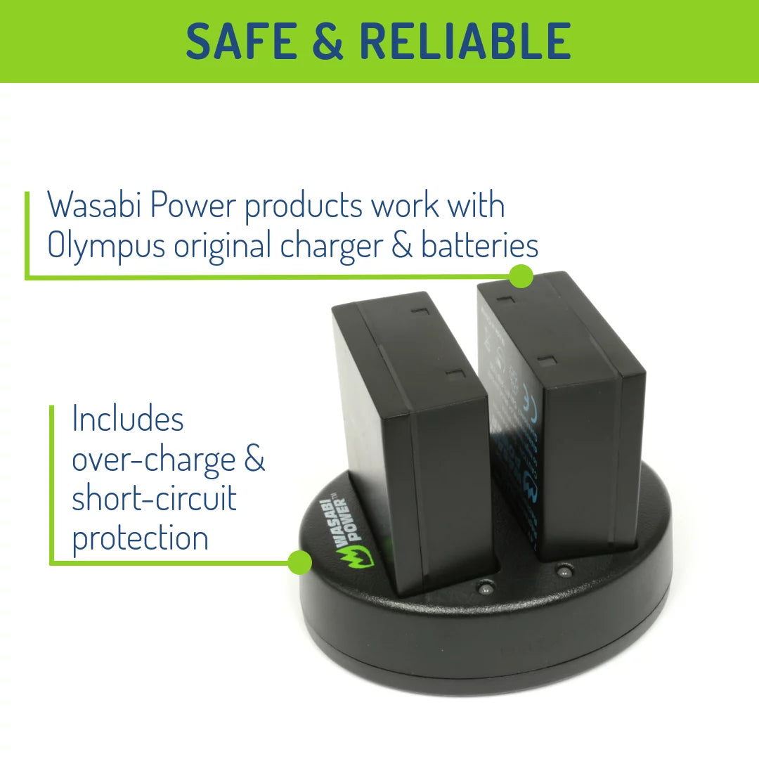 Battery (2-Pack) and Dual Charger G484