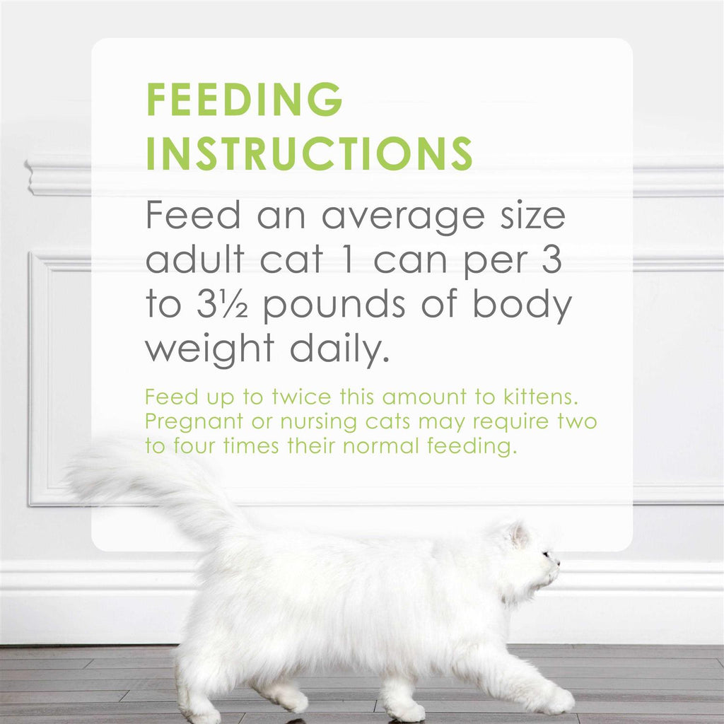 Cat Food E440