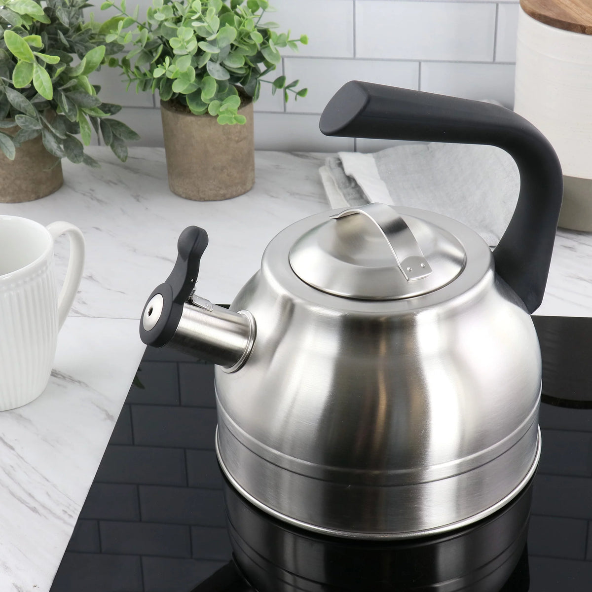 2.3 Quart Stainless Steel Whistling Tea Kettle W321969