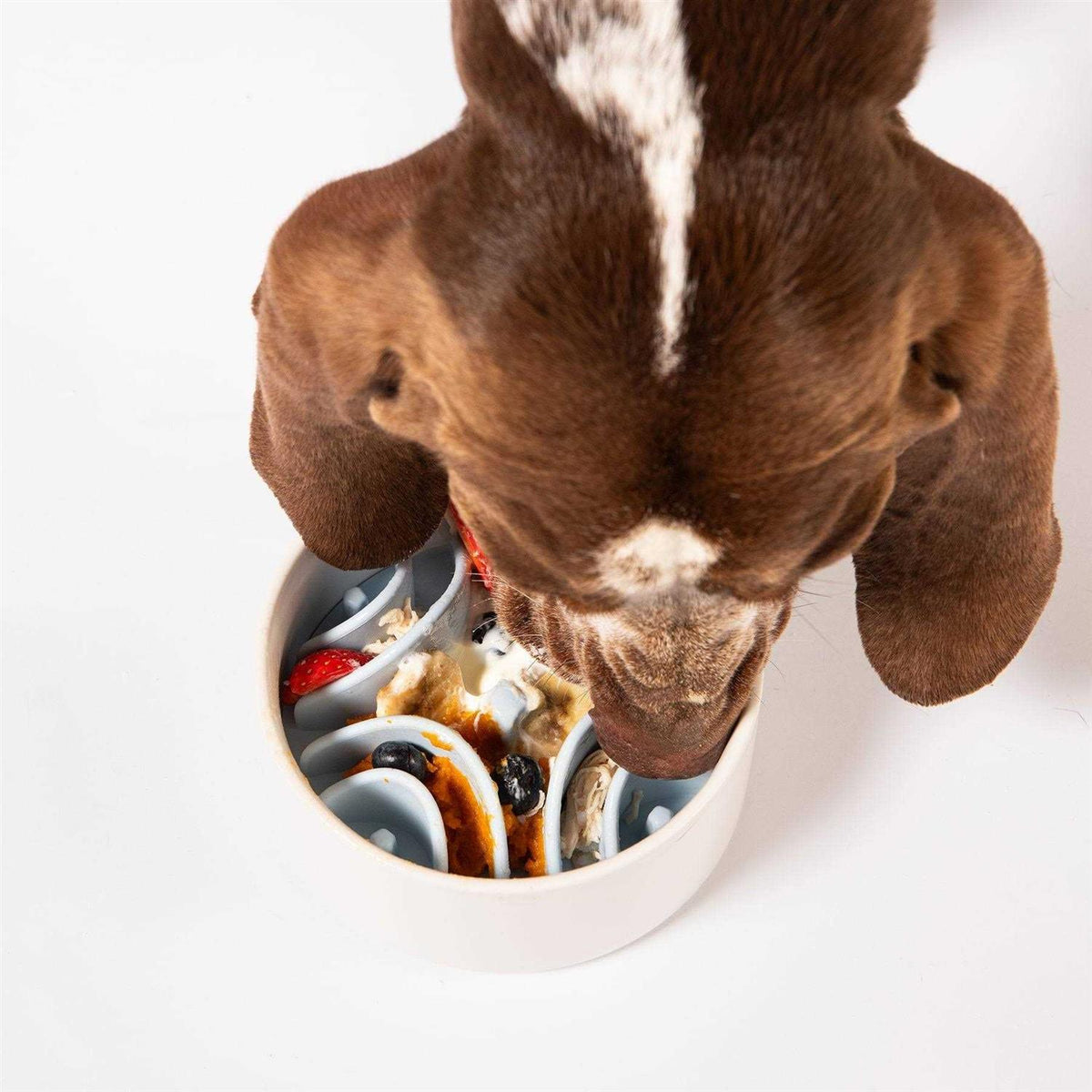 Silicone Dog Feeding Mat X632