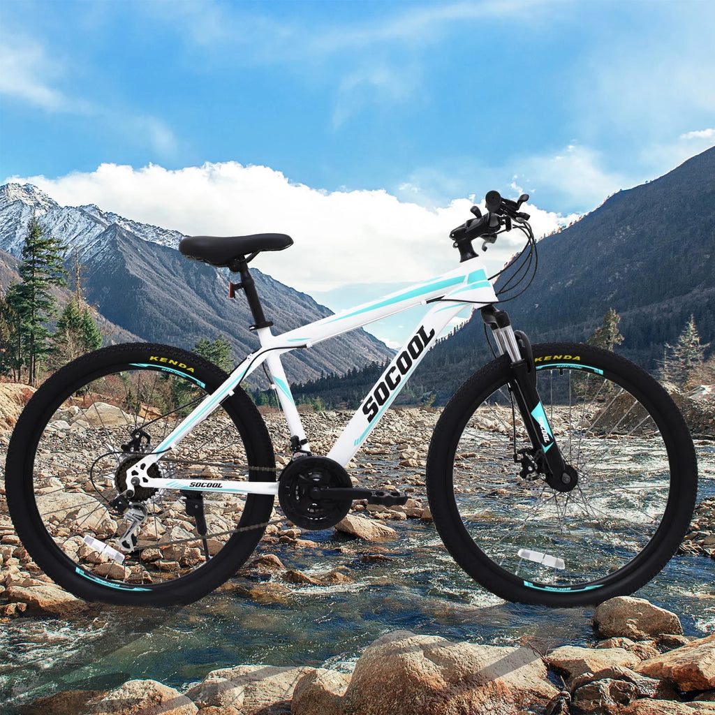 26 Inch 21 Speed Mountain Bike with Dual Disc Brakes F915619