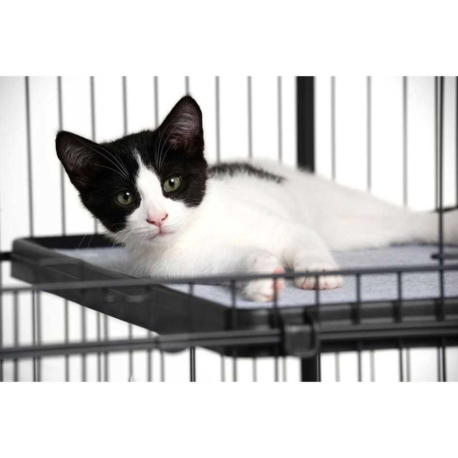 Replacement Platform Shelf for Cat Cages C85861