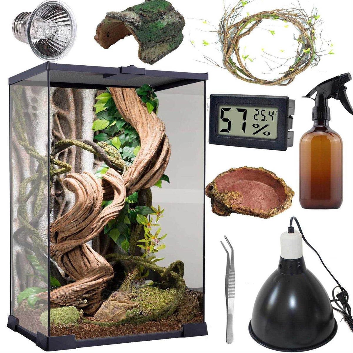 Reptile Terrarium 8 * 8 * 12 Amphibian Vertical Habitat Tank Starter Kit A21953