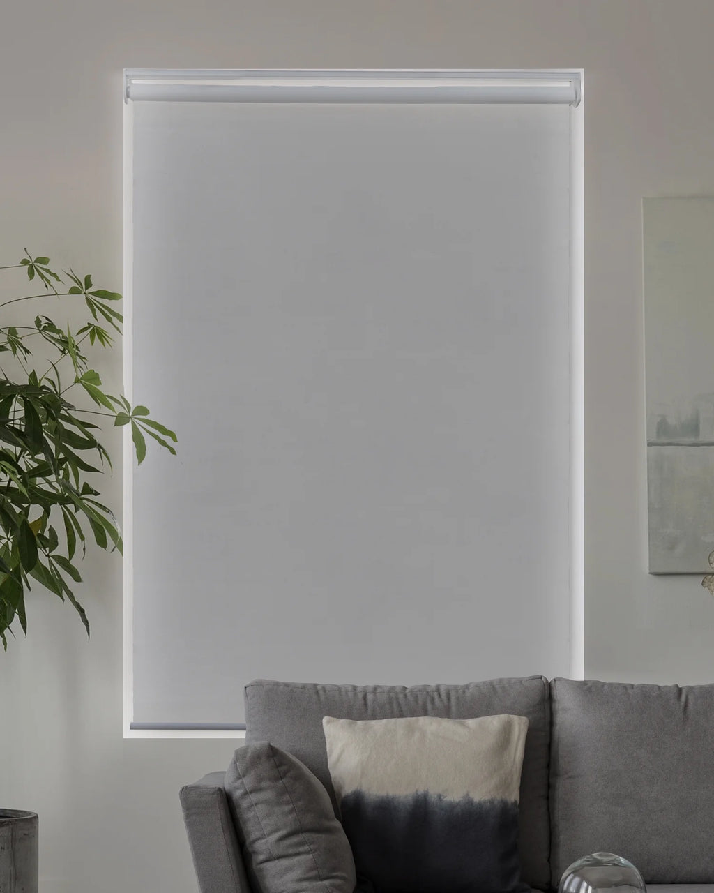 Cordless Roller Shade Blackout 23"W X 72"H Z793