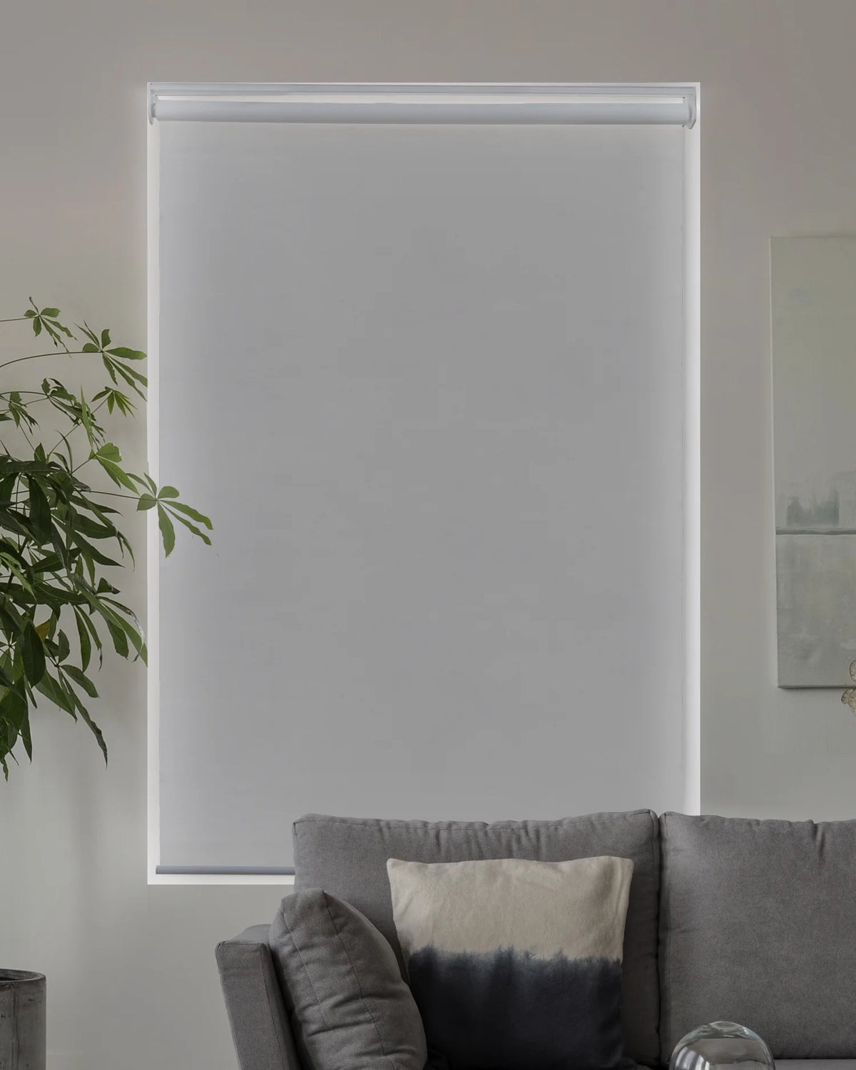 Cordless Roller Shade Blackout 23"W X 72"H Z793