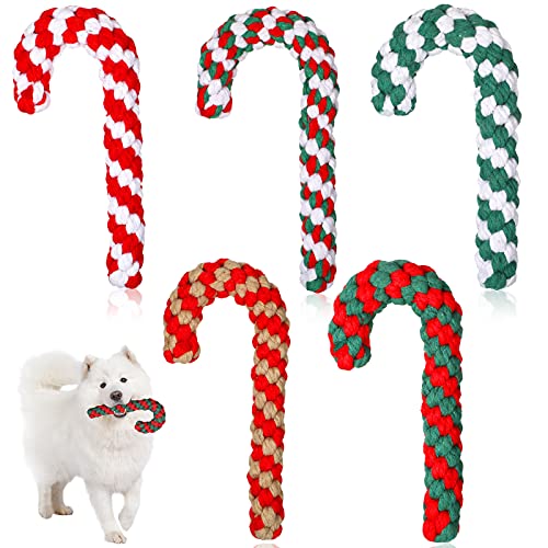5 Pack Christmas Dog Chew and Training Toys K3284