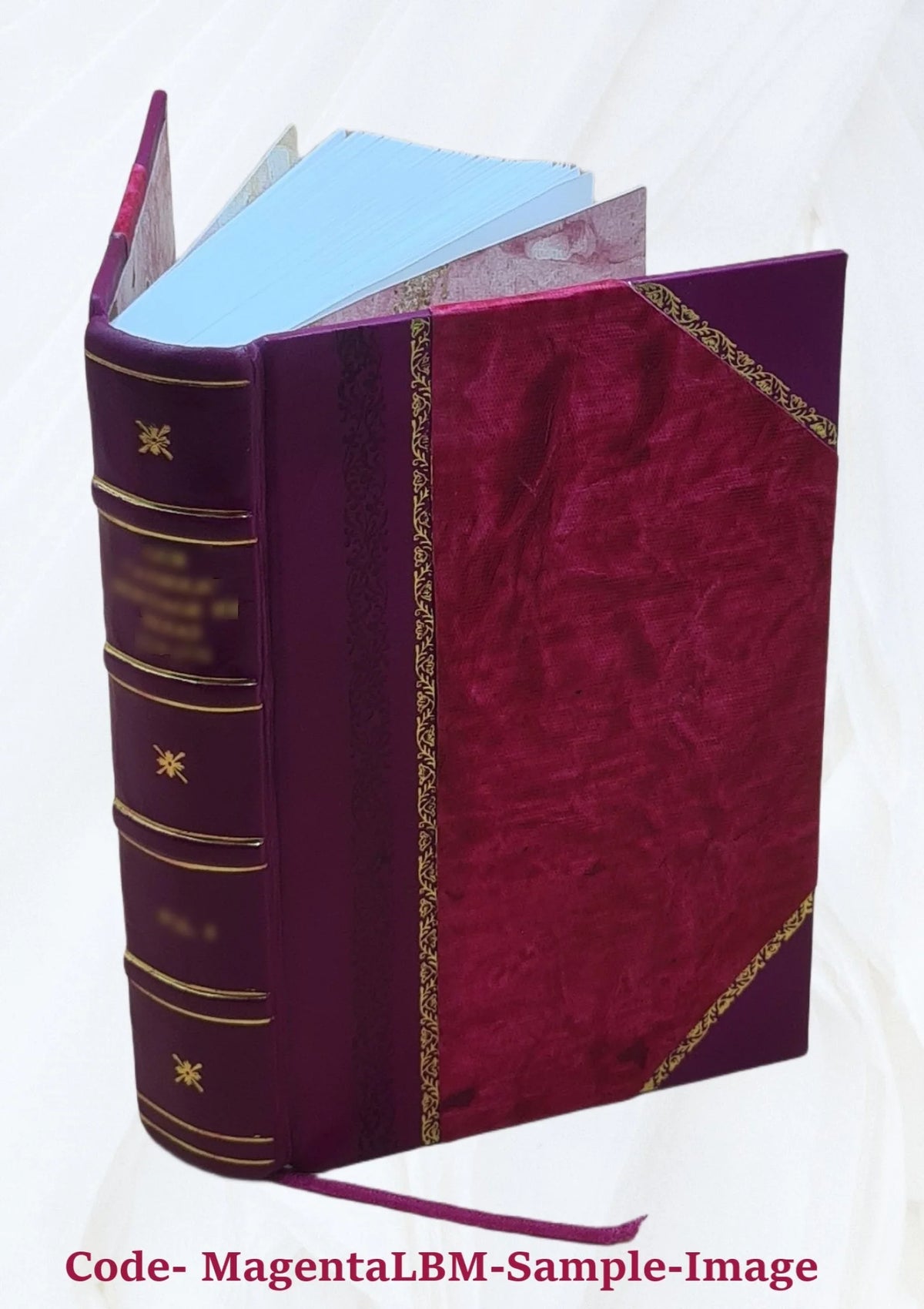 History of Holland and the Dutch Nation R4158