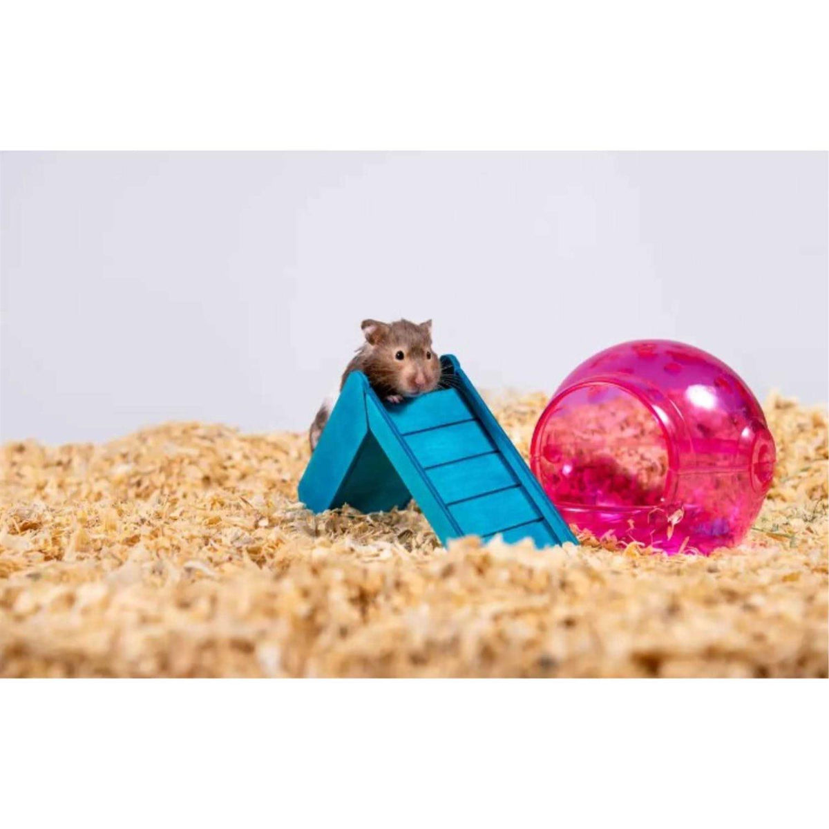 Kiln Dried Soft Pine Bedding for Small Pets C49340
