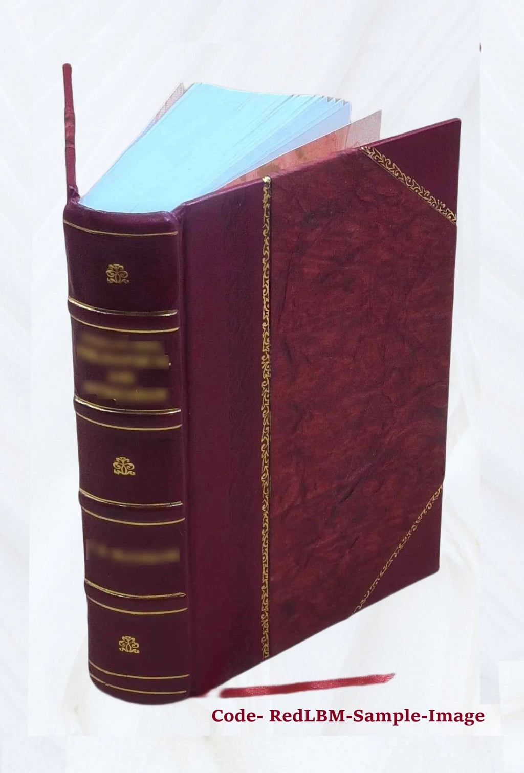 History of Holland and the Dutch Nation R4158