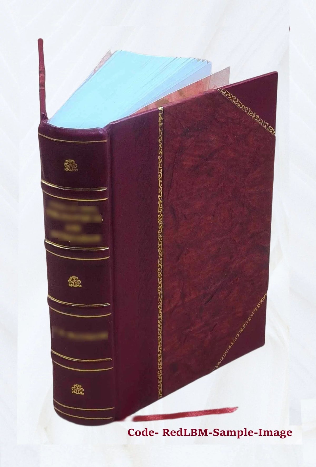 History of Holland and the Dutch Nation R4158