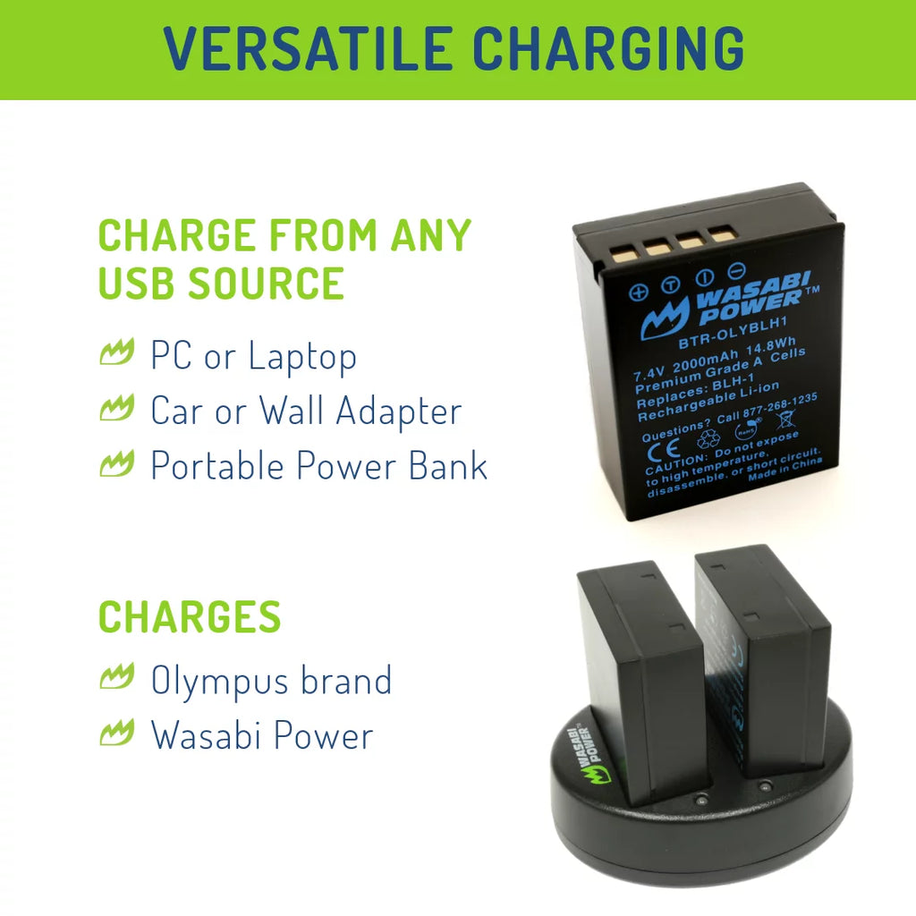 Battery (2-Pack) and Dual Charger G484