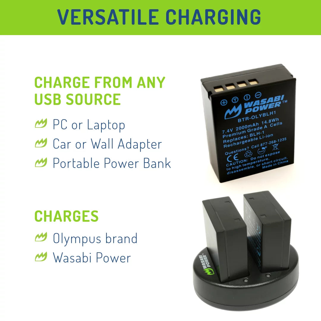 Battery (2-Pack) and Dual Charger G484