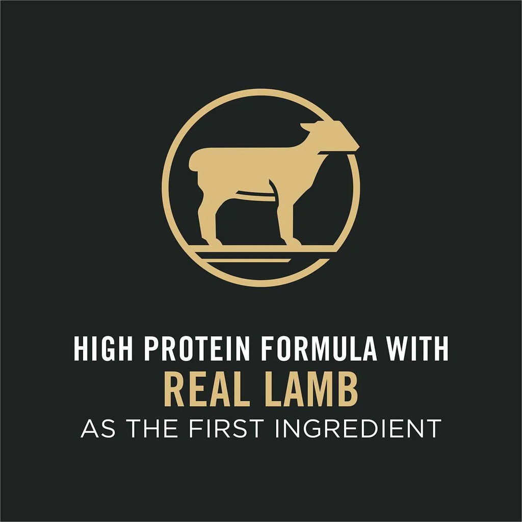 High Protein Small Bites Lamb and Rice Dog Food W595257