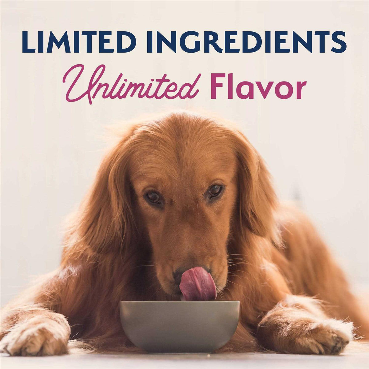 Sweet Potato Venison Dry Dog Food S29583