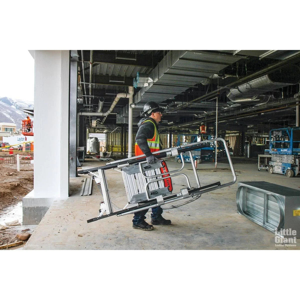 Fiberglass Ladder F913823