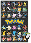 Pokémon Wall Poster 22.375" x 34" Unframed Y271