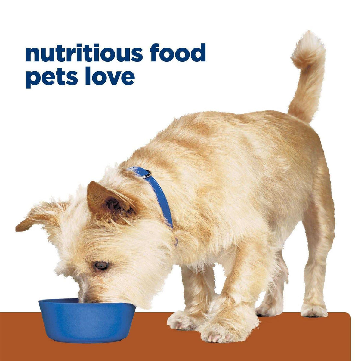 Chicken Dry Dog Food Q134