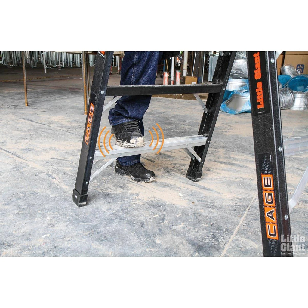 Fiberglass Ladder F913823