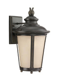 Burled Iron Outdoor Wall Lantern D60371