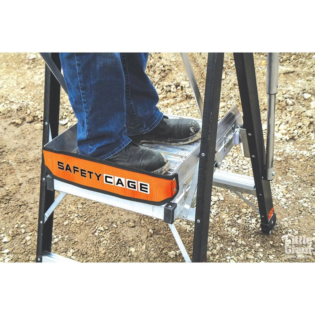 Fiberglass Ladder F913823