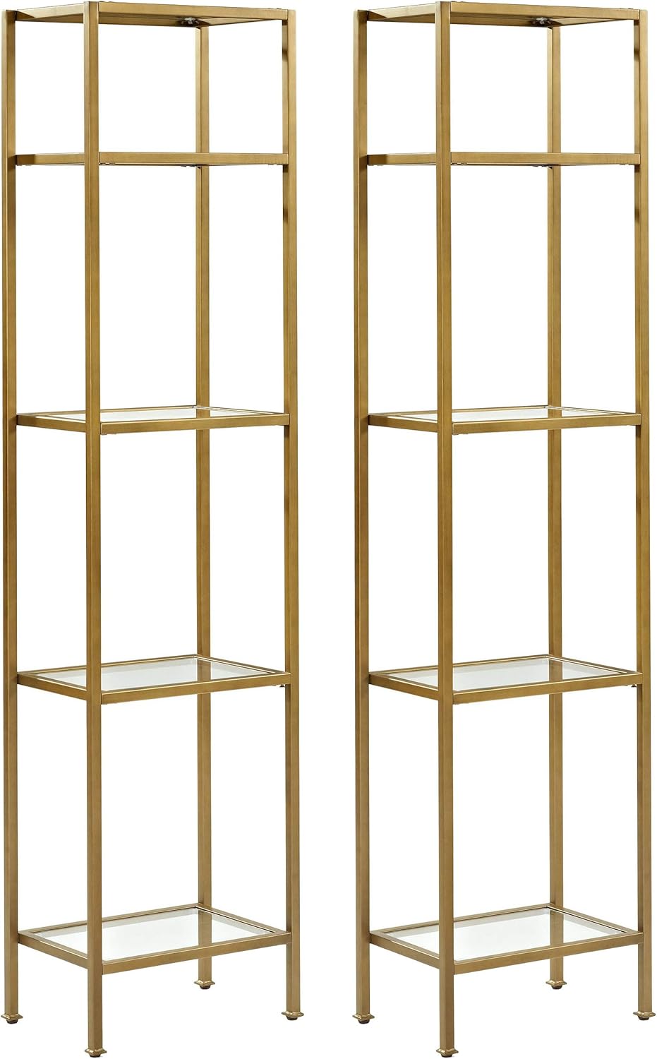Gold and Glass Bookcase X14341