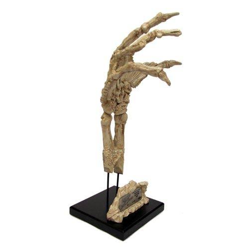 Fossilized Creature Hand Prop Replica D143