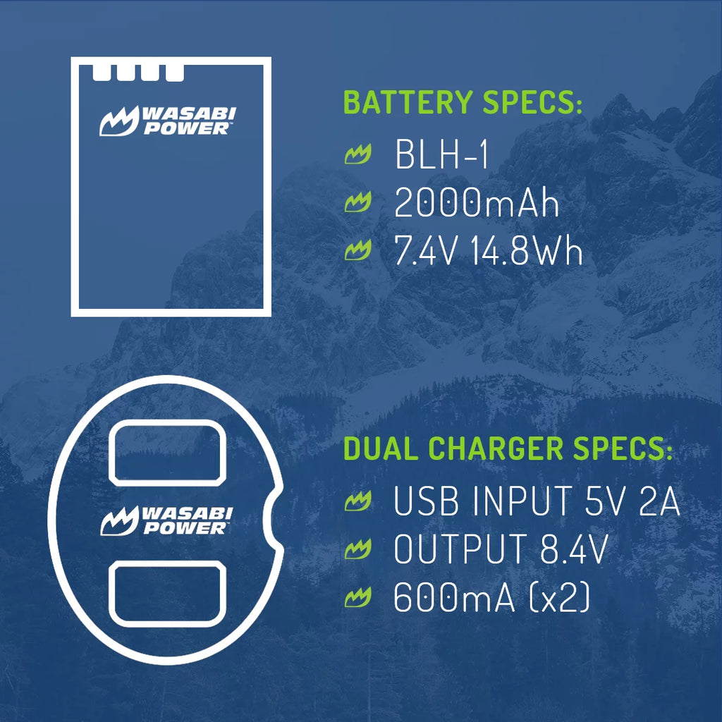 Battery (2-Pack) and Dual Charger G484