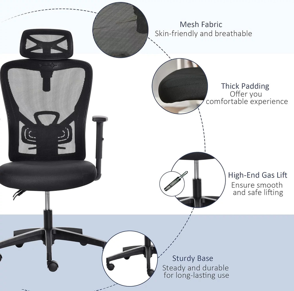 Black Ergonomic Mesh Office Chair with Lumbar Support D699