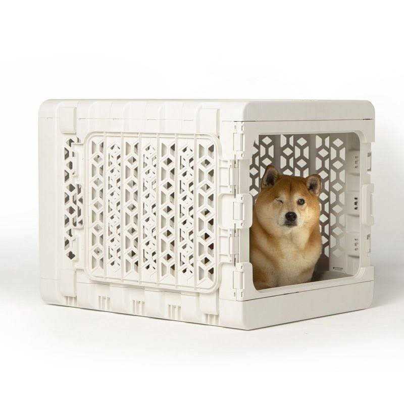 Collapsible Dog & Cat Crate B9095