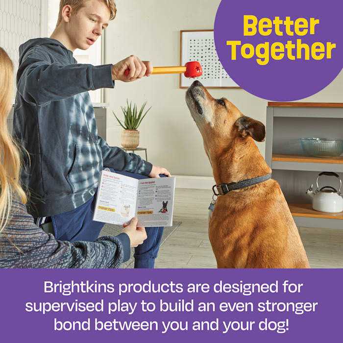 Pet Training Set G13253
