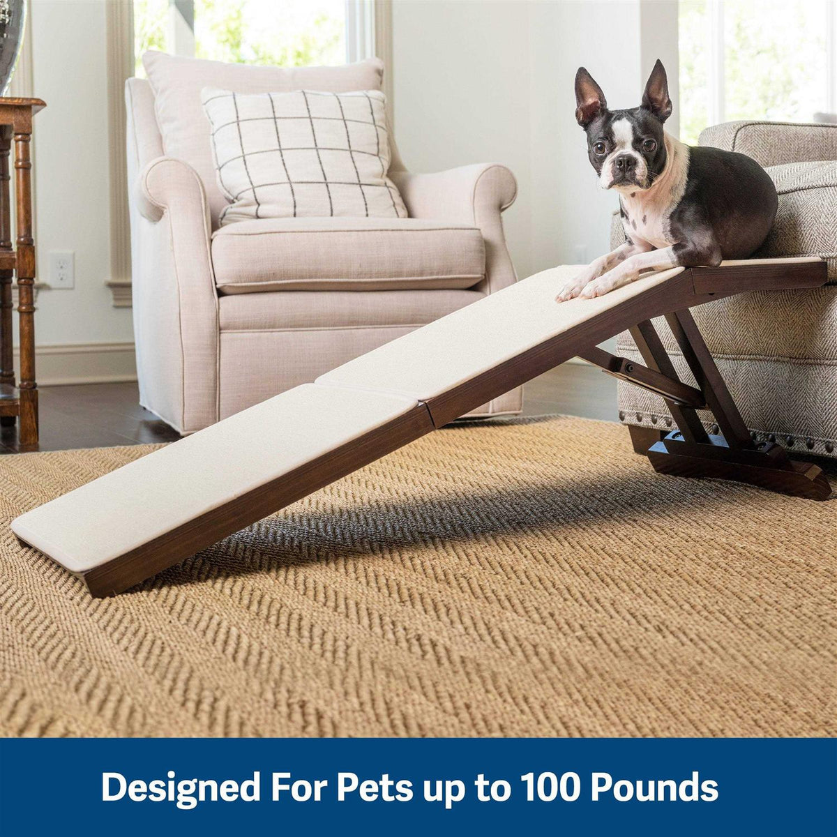 Pet Sofa Ramp R270