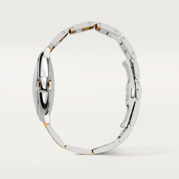 Gold Mix 42mm W76330
