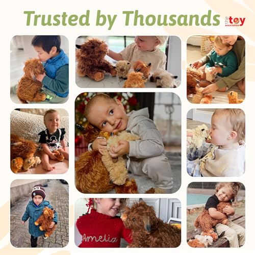 Stuffed Animal Plush Set Q17258