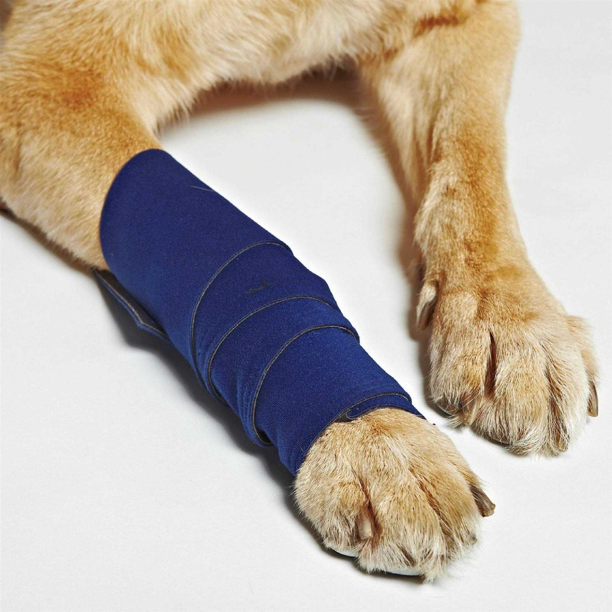 Dog Wraps Q4521