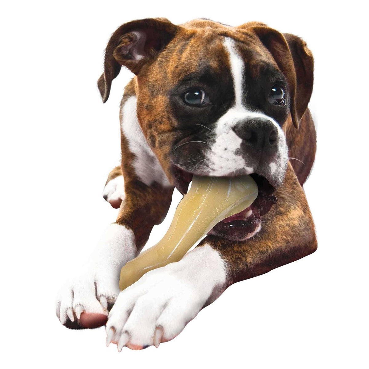 Big Chew Beef Bone Y319