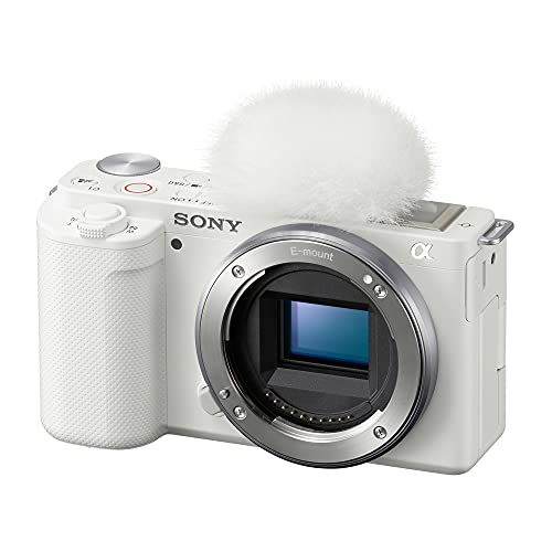 Black Interchangeable Lens Mirrorless Camera Kit S4619