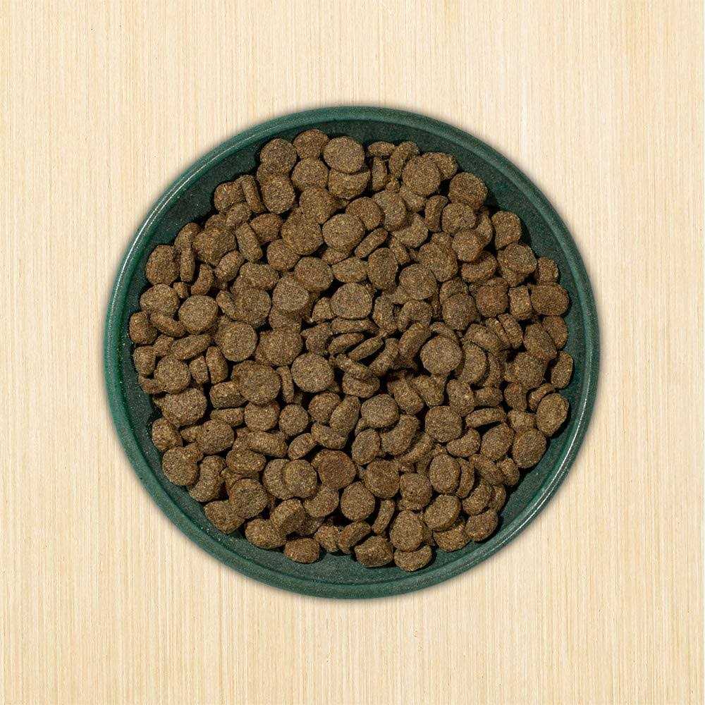 Grain-Free Dry Dog Food B43685