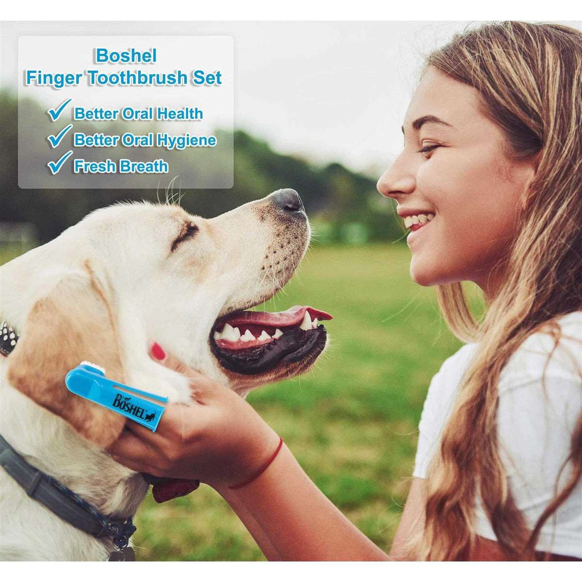 8 Pc Dog Finger Toothbrush Kit R2116