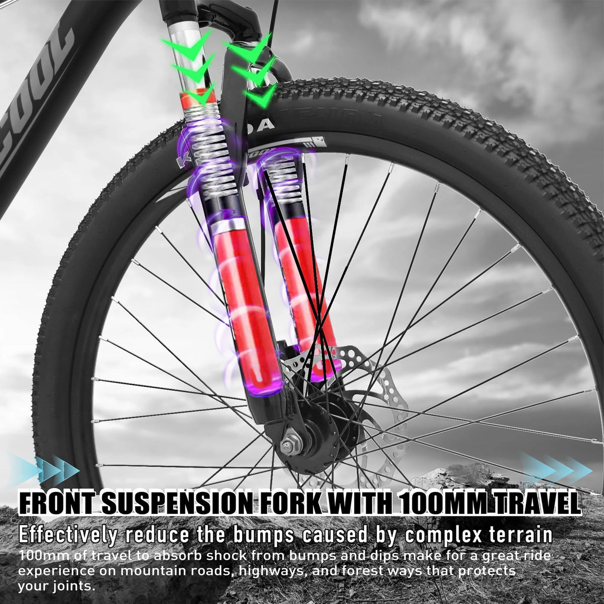 26 Inch 21 Speed Mountain Bike with Dual Disc Brakes F915619