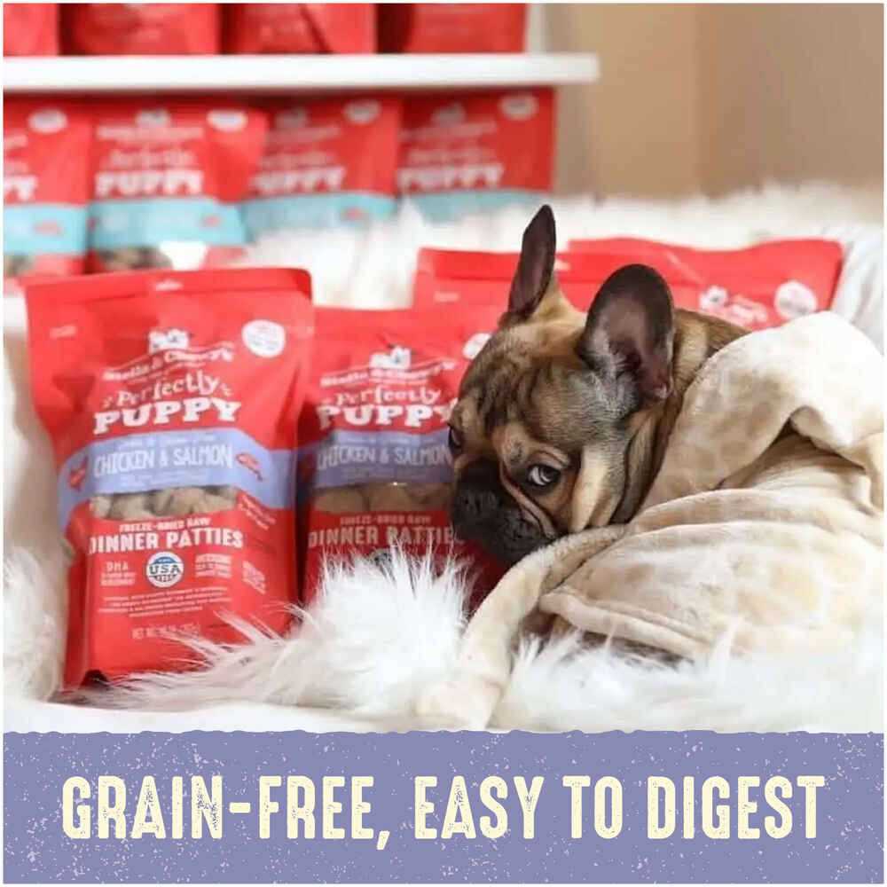 Freeze-Dried Raw Dog Food Salmon Patties U144