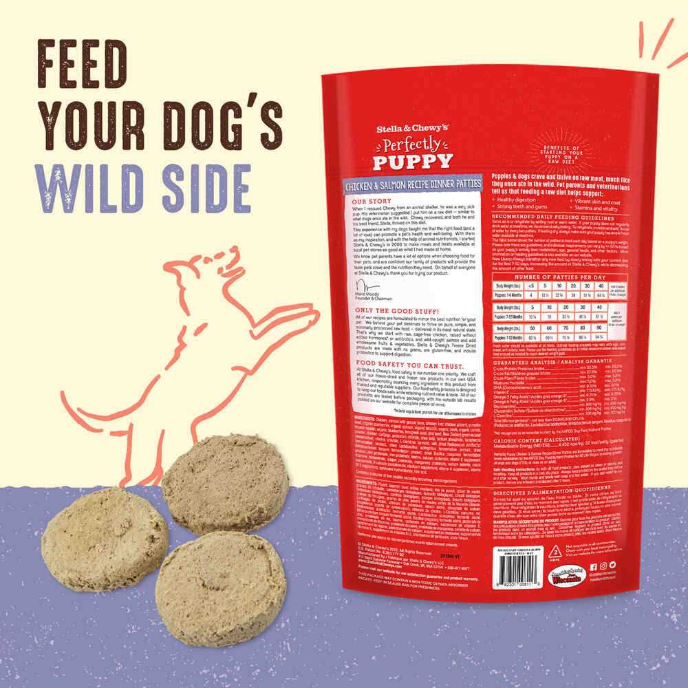 Freeze-Dried Raw Dog Food Salmon Patties U144