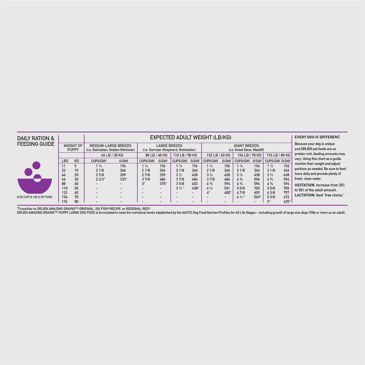 Large Breed Puppy Dry Dog Food O83799